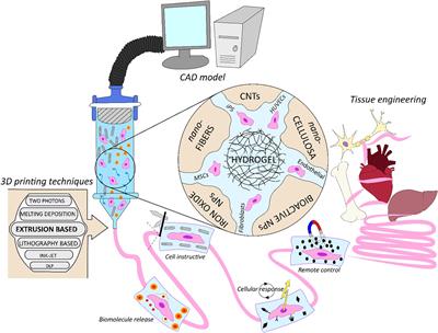 Bio-Fabrication: Convergence of 3D Bioprinting and Nano-Biomaterials in Tissue Engineering and Regenerative Medicine